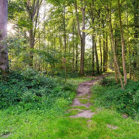 Dockside Forest Retreat Vakantiehuis