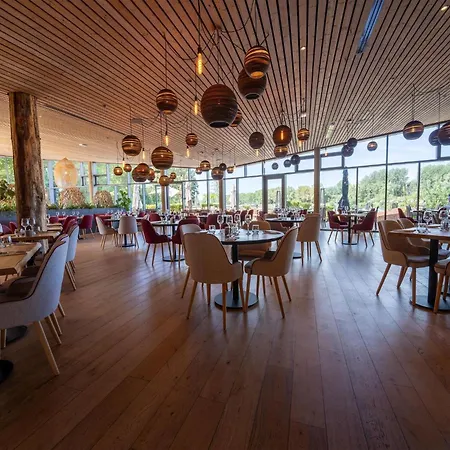 Dockside Forest Retreat