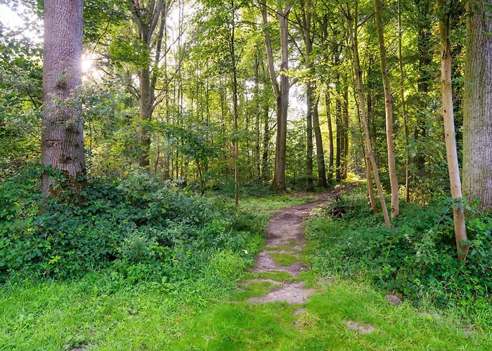 Dockside Forest Retreat Hébergement de vacances